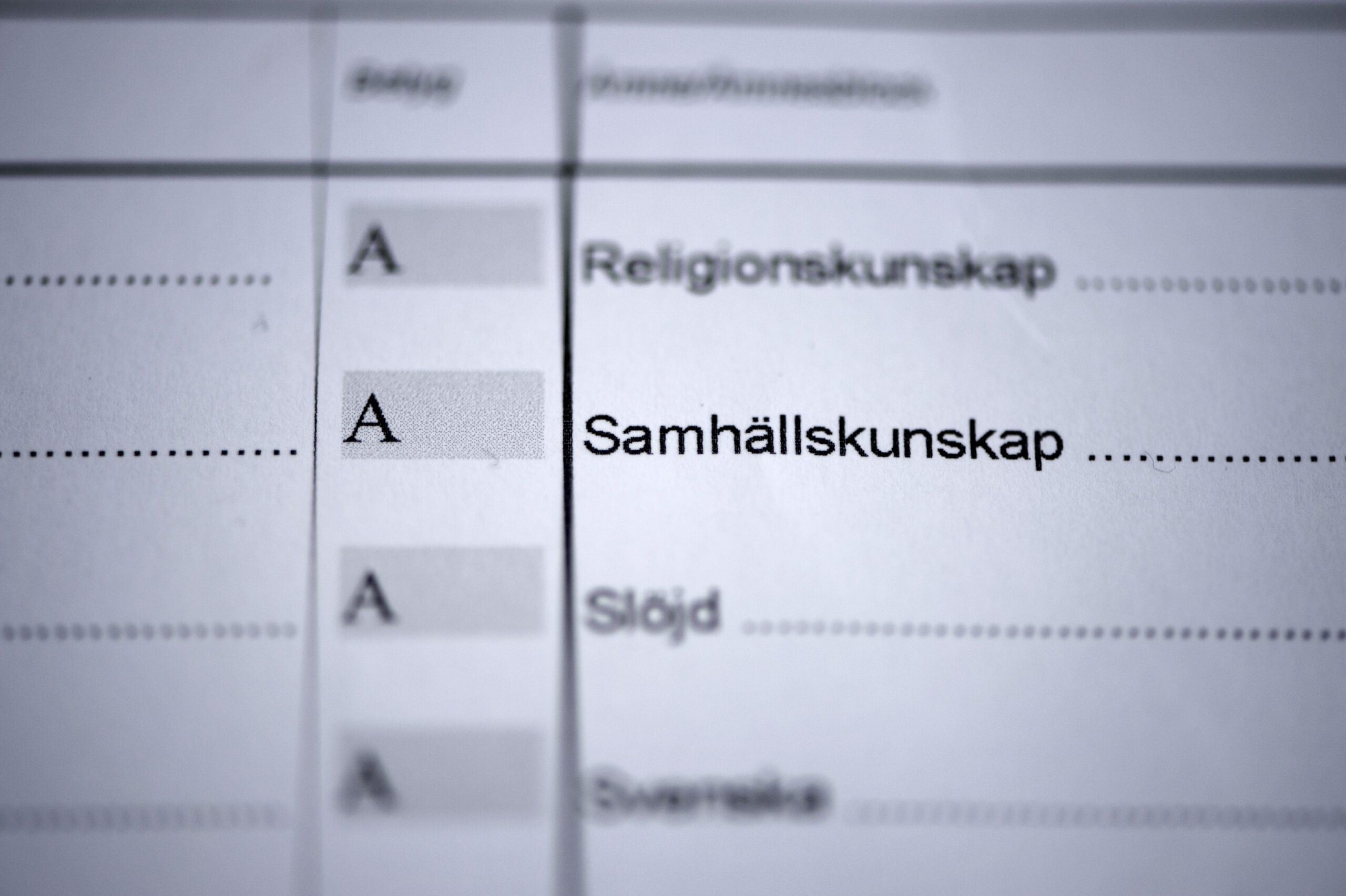 Forskaren: Svensk skola bättre än många tror