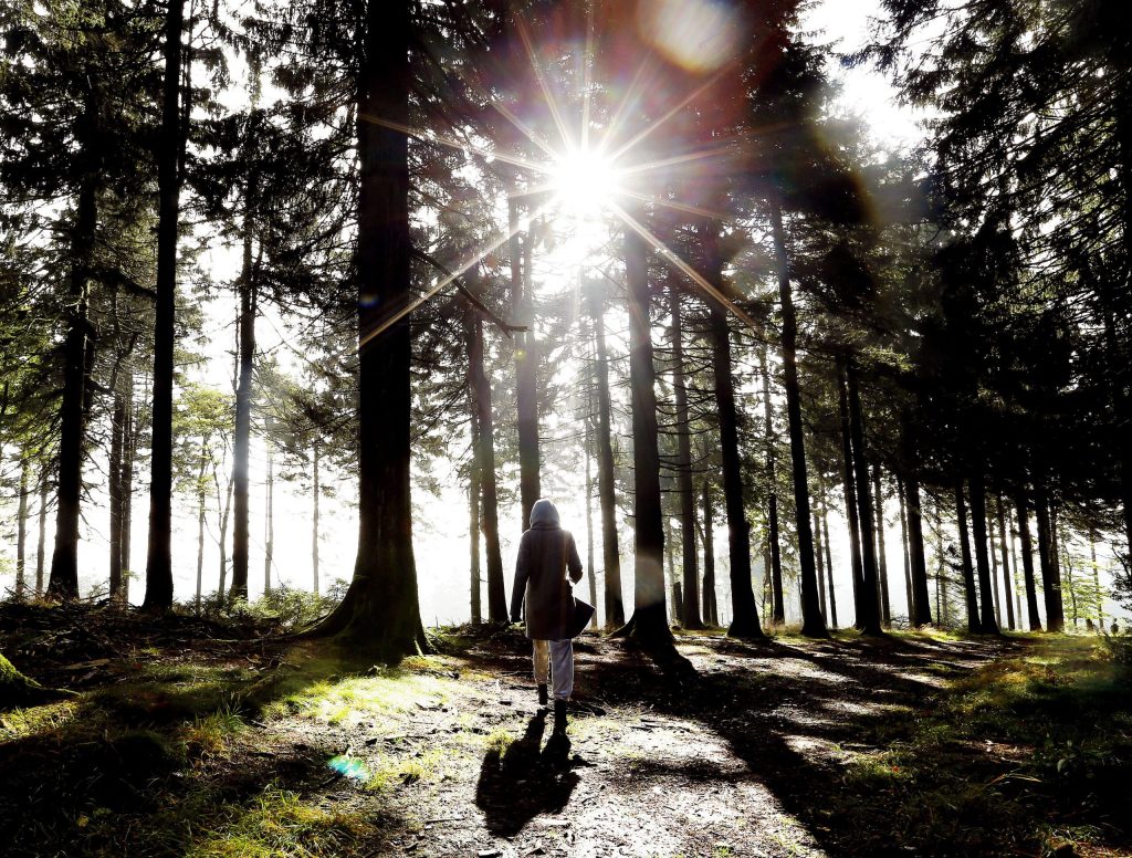 Kvinna promenerar i skog