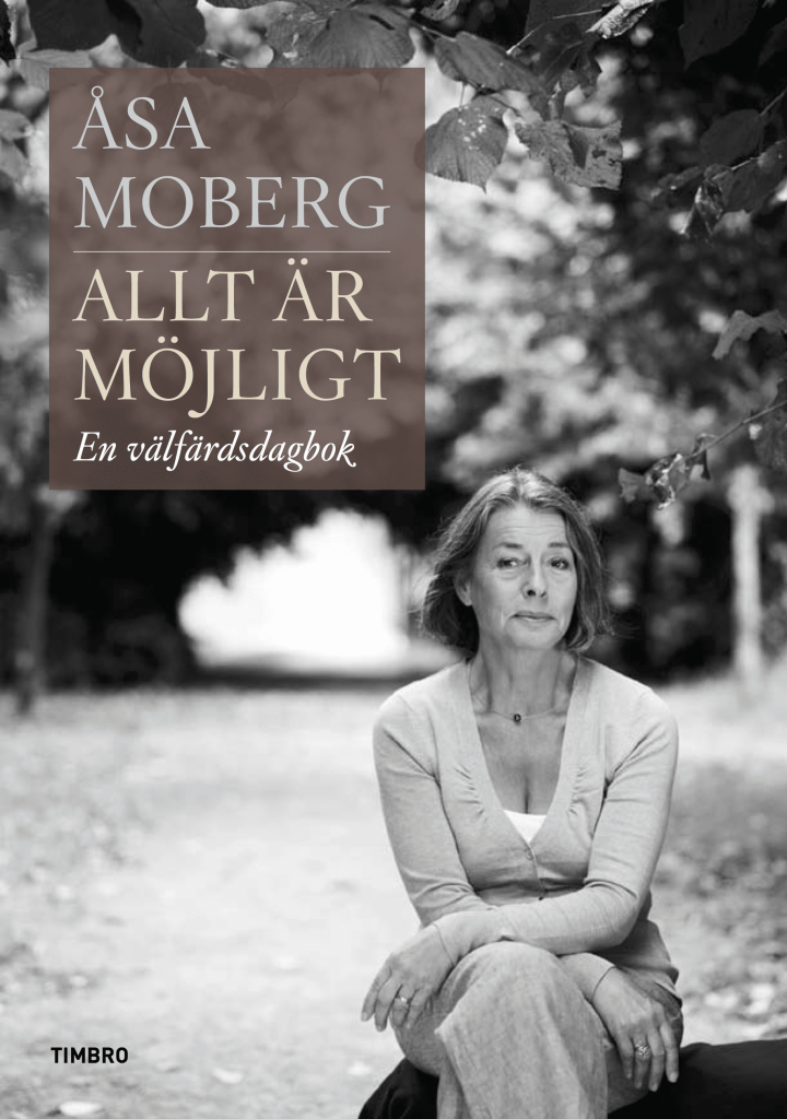 Allt är möjligt. En välfärdsdagbok