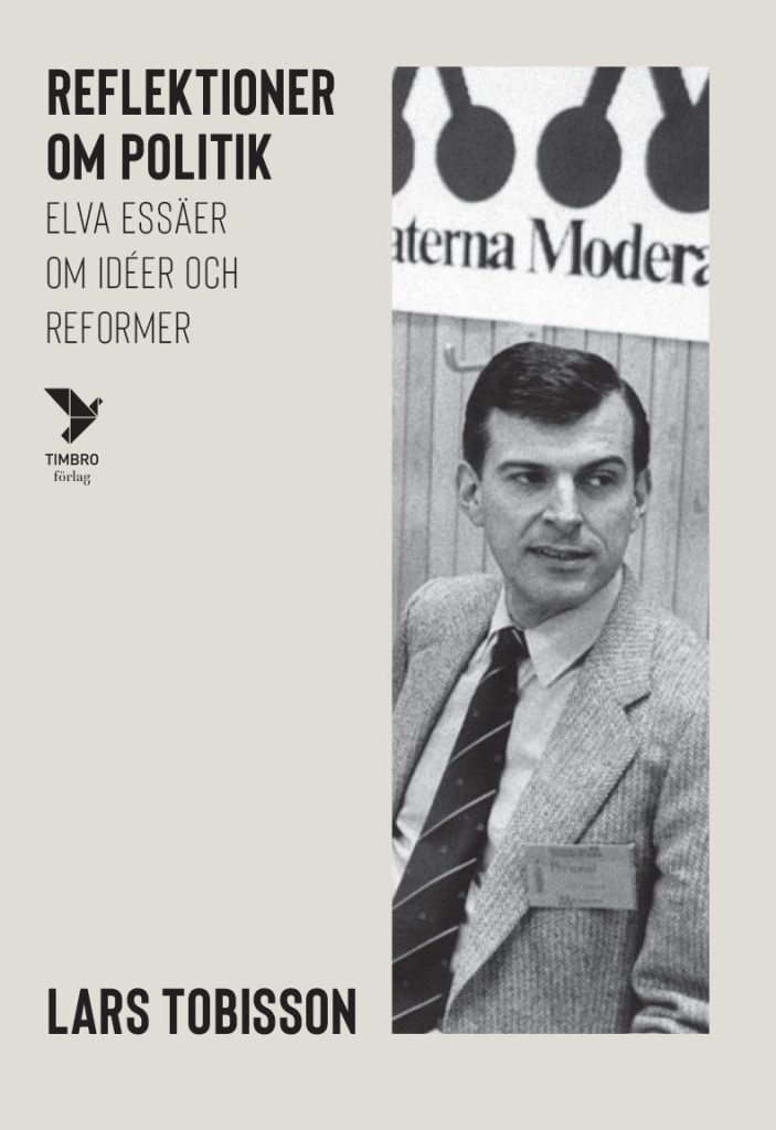 Reflektioner om politik: Elva essäer om idéer och reformer