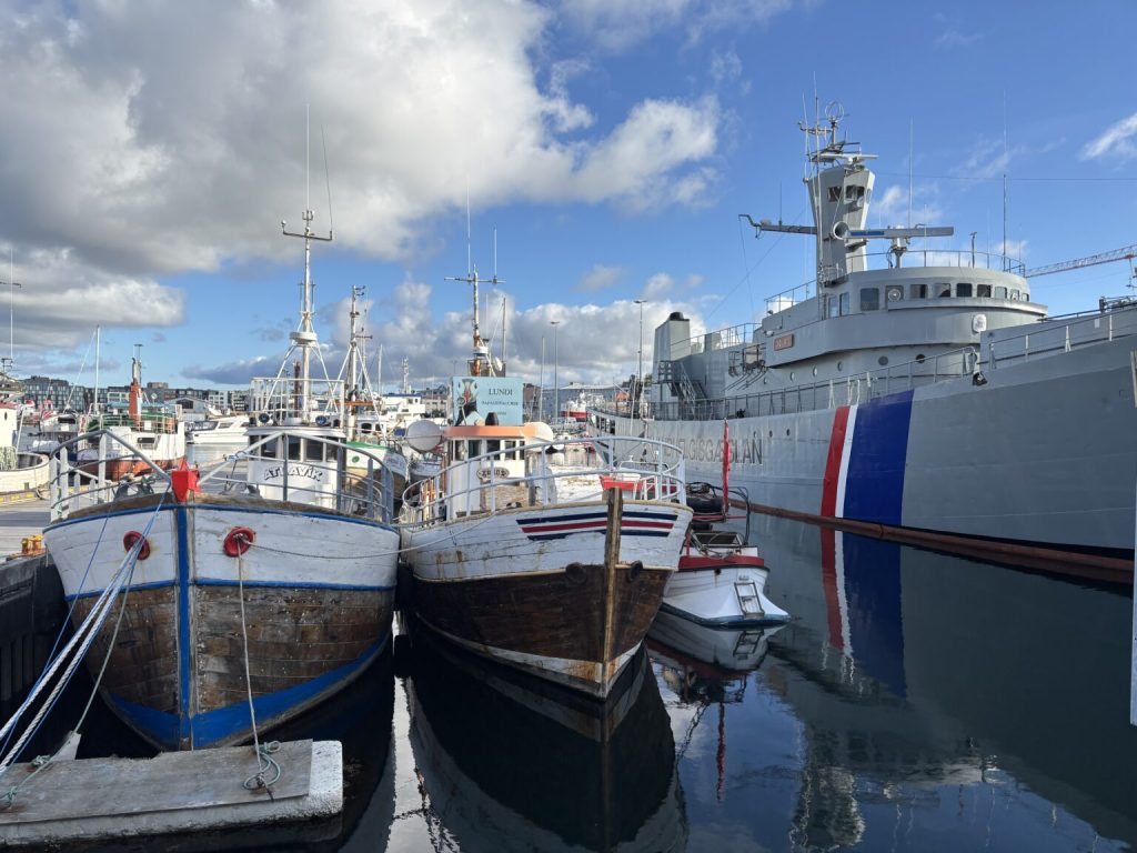 Fiskebåtar på Island