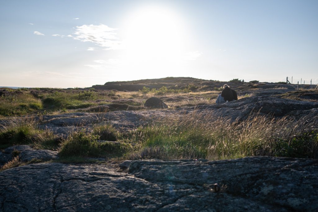 Hallands landskap